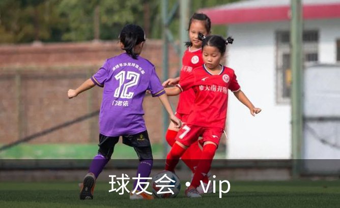 球友会·vip品牌故事
